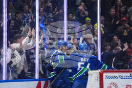 Ducks Canucks Hockey