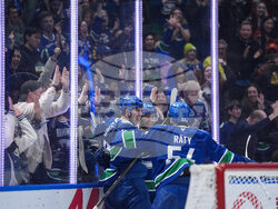 Ducks Canucks Hockey