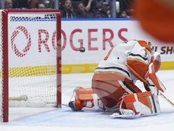 Ducks Canucks Hockey