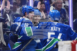 Ducks Canucks Hockey