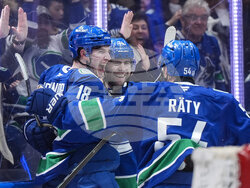 Ducks Canucks Hockey