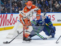 Ducks Canucks Hockey