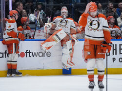 Ducks Canucks Hockey