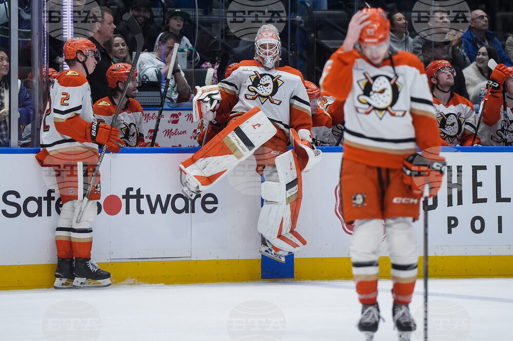 Ducks Canucks Hockey