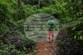 Liberia Gold Mining Spills