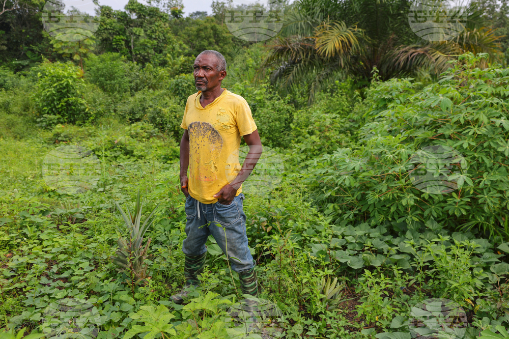 Liberia Gold Mining Photo Essay