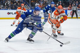 Ducks Canucks Hockey