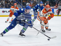 Ducks Canucks Hockey