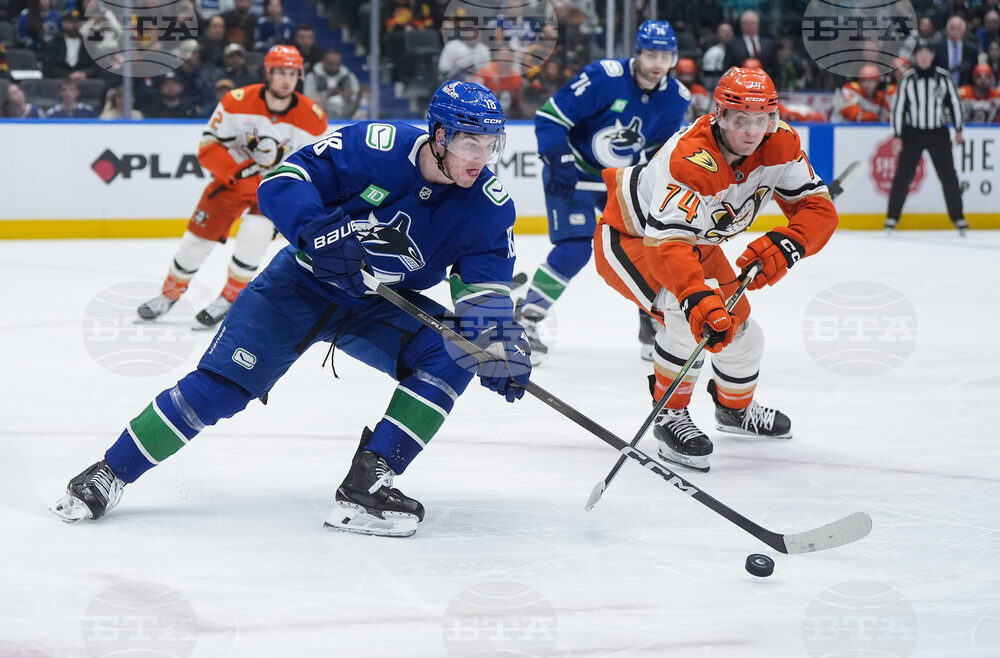 Ducks Canucks Hockey