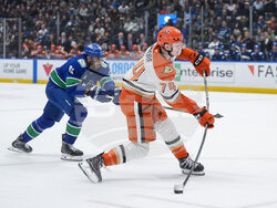 Ducks Canucks Hockey