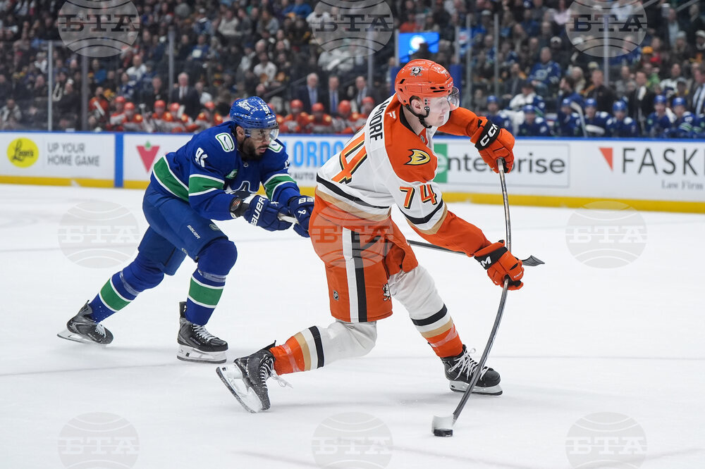 Ducks Canucks Hockey