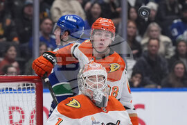 Ducks Canucks Hockey