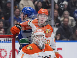 Ducks Canucks Hockey