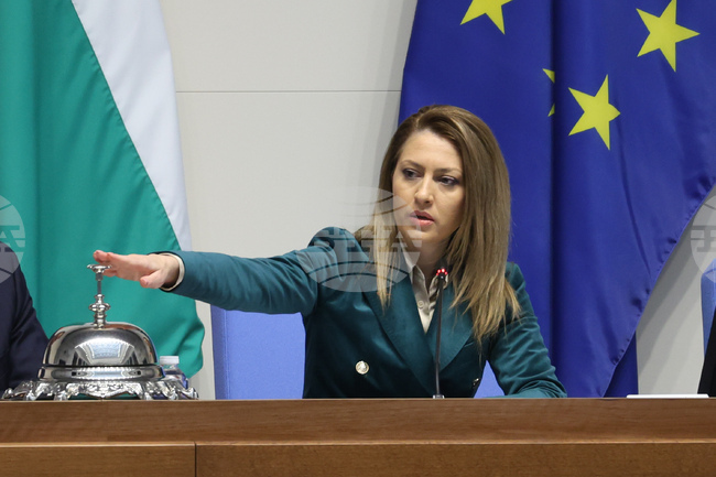 Народно събрание - заседание