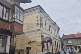 Троян - Весела Георгиева - изложба "Живопис от вълна"