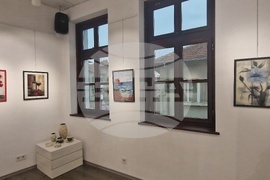 Троян - Весела Георгиева - изложба "Живопис от вълна"