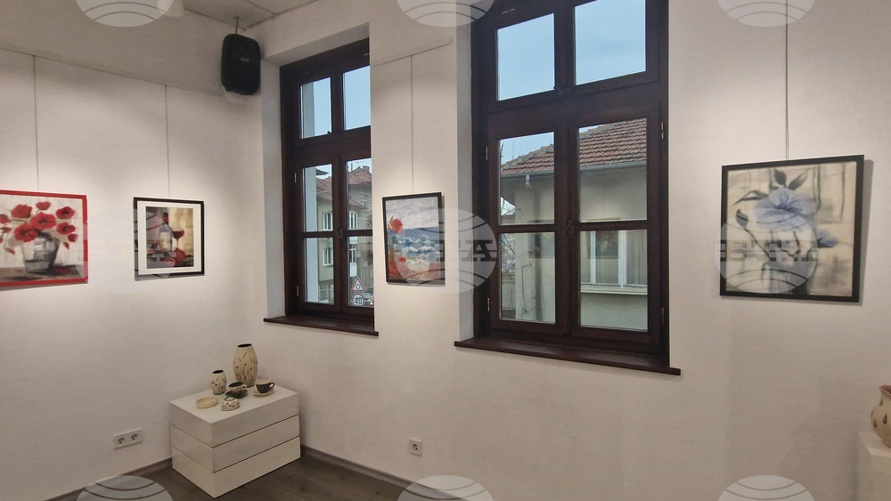 Троян - Весела Георгиева - изложба "Живопис от вълна"