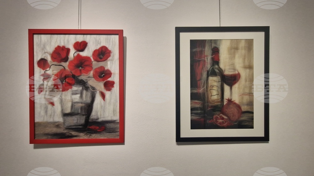 Троян - Весела Георгиева - изложба "Живопис от вълна"