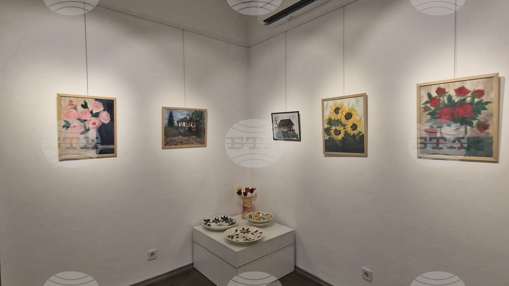 Троян - Весела Георгиева - изложба "Живопис от вълна"