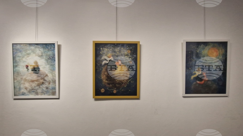 Троян - Весела Георгиева - изложба "Живопис от вълна"