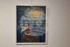 Троян - Весела Георгиева - изложба "Живопис от вълна"