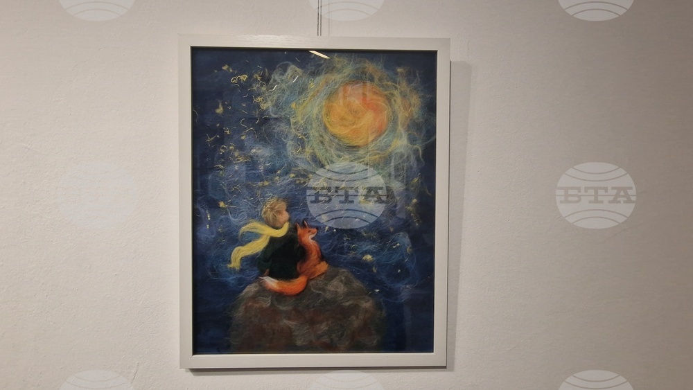 Троян - Весела Георгиева - изложба "Живопис от вълна"