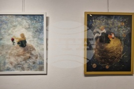 Троян - Весела Георгиева - изложба "Живопис от вълна"