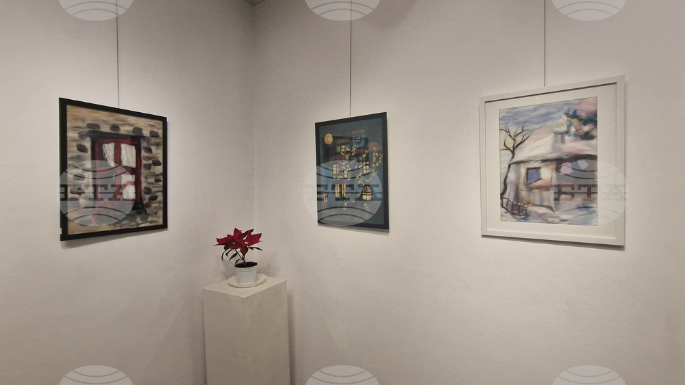 Троян - Весела Георгиева - изложба "Живопис от вълна"