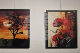 Троян - Весела Георгиева - изложба "Живопис от вълна"