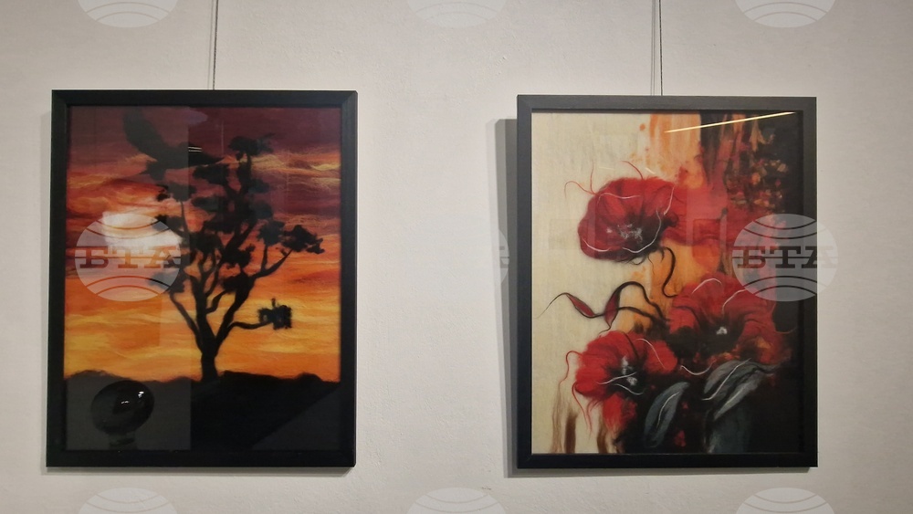 Троян - Весела Георгиева - изложба "Живопис от вълна"