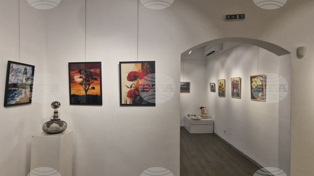 Троян - Весела Георгиева - изложба "Живопис от вълна"