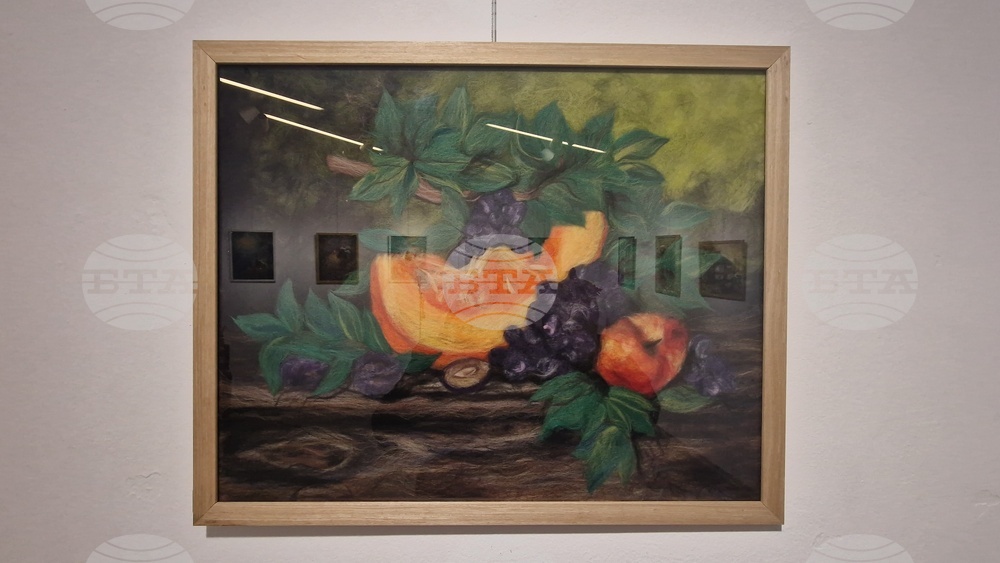 Троян - Весела Георгиева - изложба "Живопис от вълна"