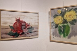 Троян - Весела Георгиева - изложба "Живопис от вълна"