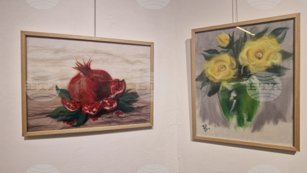 Троян - Весела Георгиева - изложба "Живопис от вълна"