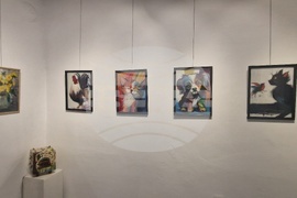 Троян - Весела Георгиева - изложба "Живопис от вълна"