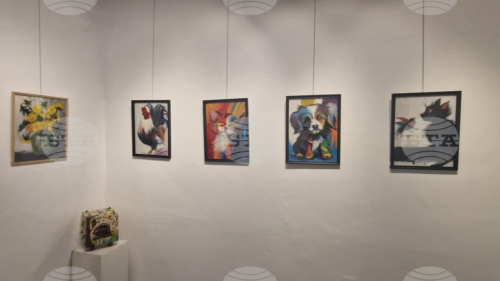 Троян - Весела Георгиева - изложба "Живопис от вълна"