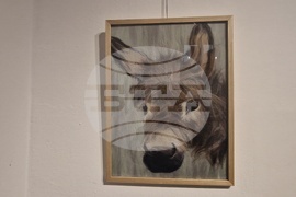 Троян - Весела Георгиева - изложба "Живопис от вълна"