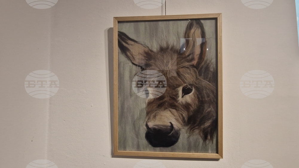 Троян - Весела Георгиева - изложба "Живопис от вълна"