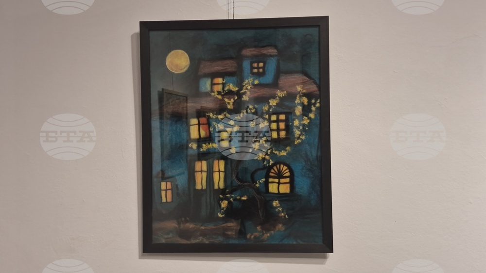 Троян - Весела Георгиева - изложба "Живопис от вълна"