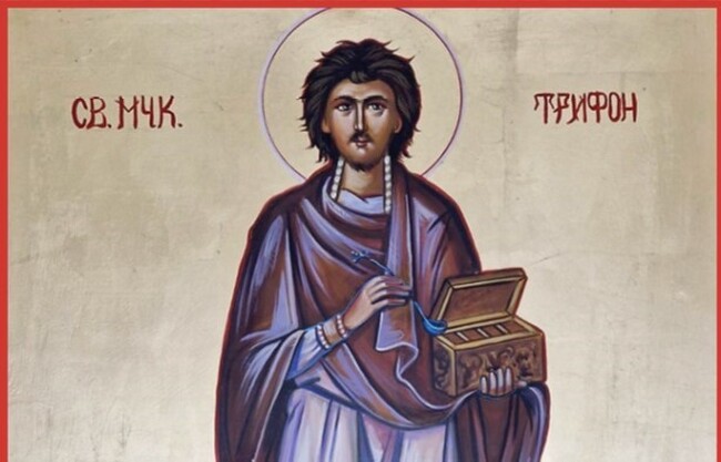 Община Стара Загора: 72-ма старозагорци празнуват в деня на Св. Трифон – покровител на лозарите и винарите