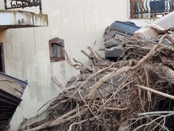 снимка: Галя Тенева/ БТА