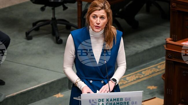 Белга: Присъдата за тежки престъпления може да доведе до загуба на белгийско гражданство 