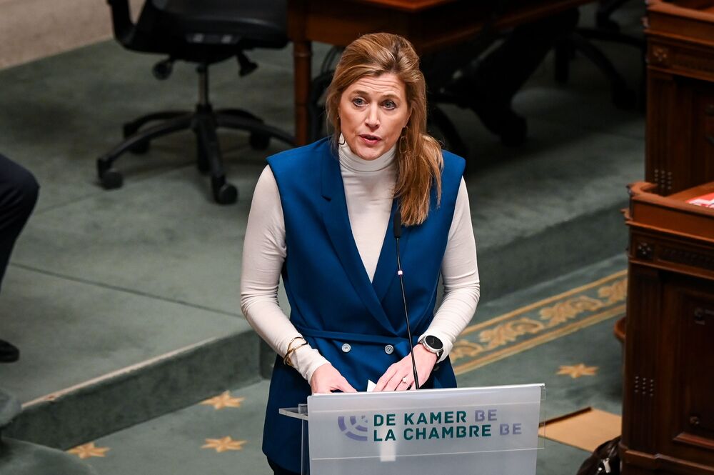 Белга: Присъдата за тежки престъпления може да доведе до загуба на белгийско гражданство 