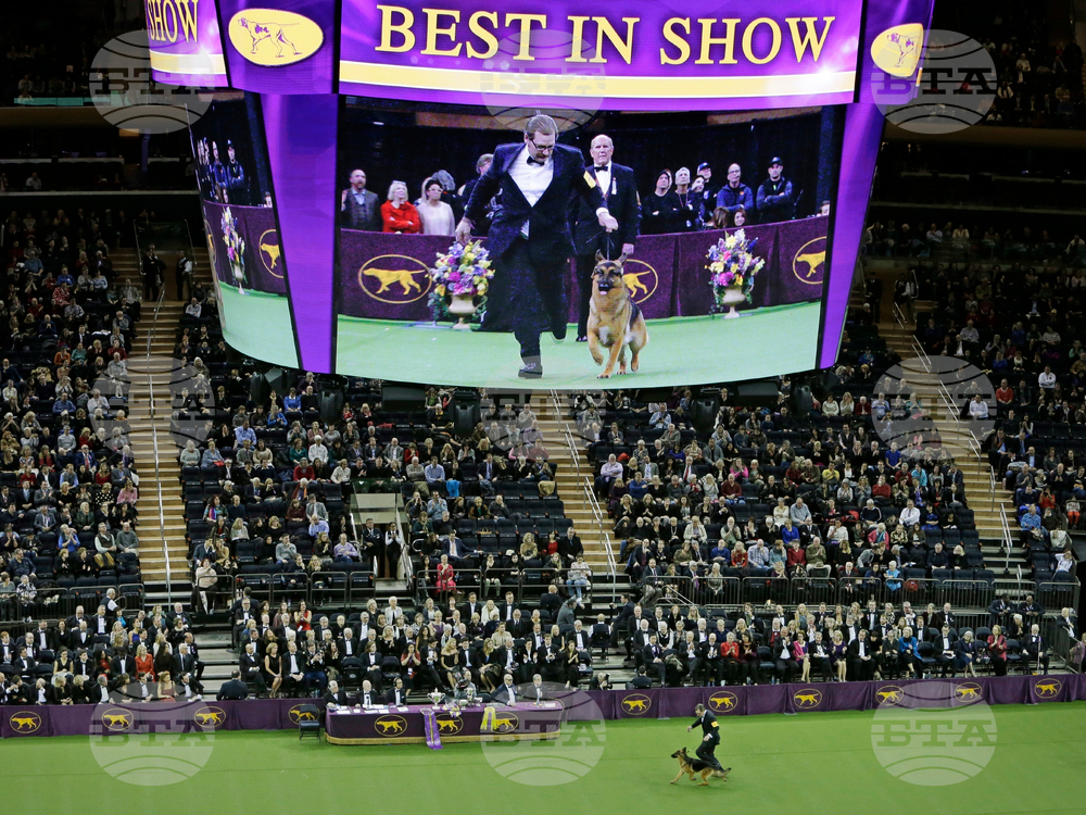 Westminster Dog Show-150th