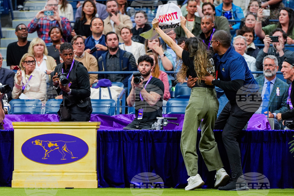 Westminster Dog Show-150th