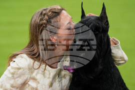 Westminster Dog Show-150th