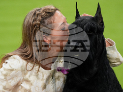 Westminster Dog Show-150th