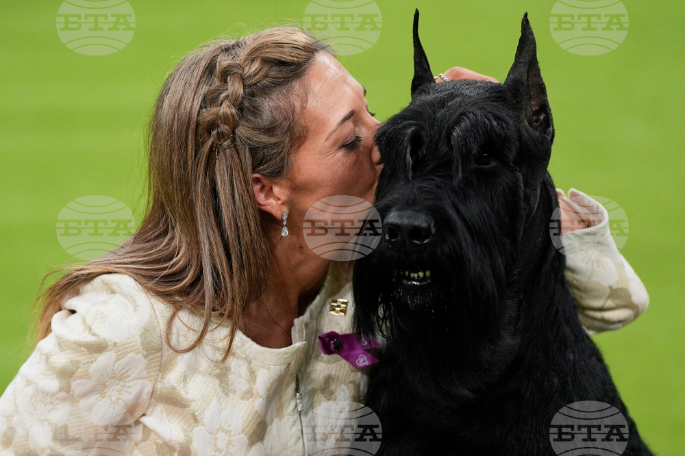 Westminster Dog Show-150th