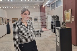 Плевен - галерии - изпълнен проект