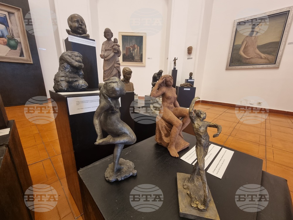 Плевен - галерии - изпълнен проект